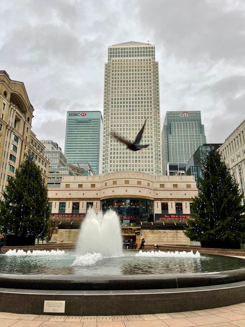 A cityscape view featuring a large fountain in the foreground with water spraying upward, surrounded by neatly trimmed evergreen trees on both sides. Behind the fountain, there is a curved, beige-colored building with a glass entrance. Several tall skyscrapers dominate the background, including those with visible company logos such as HSBC and Citi. A bird is captured mid-flight above the fountain, set against a cloudy sky. The scene depicts an urban environment with modern architecture and a clean, well-maintained public space, representative of surface cleaning and maintenance at a commercial or civic level, as promoted by Canary Wharf Carpet Cleaning.